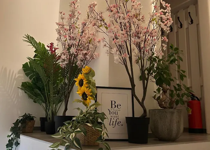 In Spittal An Der Drau